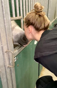 Leren omgaan met je paard